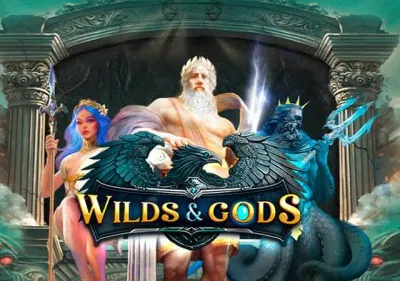 Wilds & Gods game thumbnail